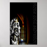 Stone Cold Salvation poster
