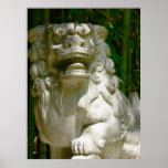 Stone Dragon Shadow Posters