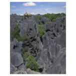 Stone forest, Kunming, Yunnan Province, China flyers