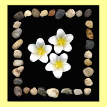 stone frame & frangipani posters