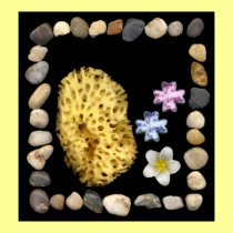 stone frame sponge posters