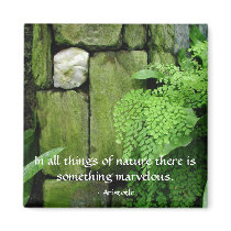 Stone Garden: Aristotle - Magnet #1 by bontondesigns Stone Garden: Aristotle - Magnet #1