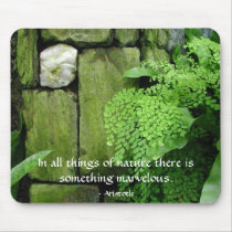 Stone Garden: Aristotle - Mousepad