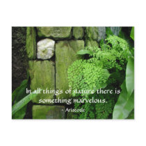 Stone Garden: Aristotle - Postcard