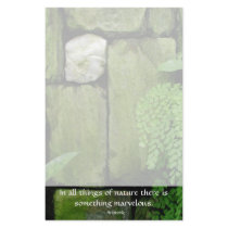 Stone Garden: Aristotle - Stationery