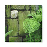 Stone Garden - Magnet #1