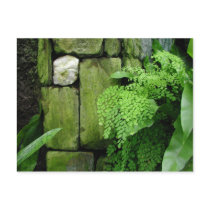 Stone Garden - Postcard