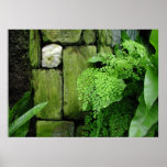 Stone Garden - Poster #1