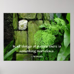 Stone Garden - Poster #2