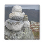 Stone Guard Magnet