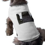 Stone Guardian Dog Tee