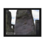 Stone Guardian Post Card