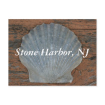 Stone Harbor Scallop Shell Postcard