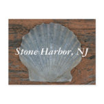 Stone Harbor Scallop Shell Postcard
