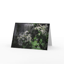 Stone in Twilight Greeting Card