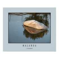 Stone in Water posters by Malanda Stone in Water posters