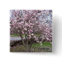 Stone Magnolias Pin buttons by CaroleArt Stone Magnolias Pin buttons