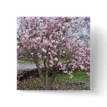 Stone Magnolias Pin buttons