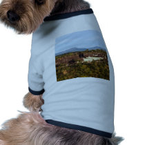 stone Mountain pet clothing