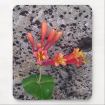Stone Mouse Pad with Flower mousepads