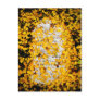 Stone of Yellow Leaves Postcard