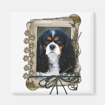 Stone_Paws_Cavalier_Dk Magnet