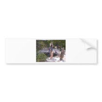 Stone sculptors association of Newmarket- York Reg Bumper Sticker