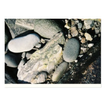 stone shell profile card business cards by cimmonz stone shell profile card business cards