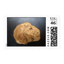 Stone Skull-Postage