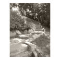Stone Stairs at a Local Japanese Garden posters