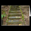 Stone Stairs-WarWoman Dell cards