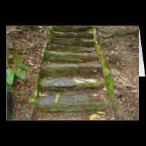 Stone Stairs-WarWoman Dell cards