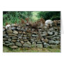 Stone Wall Cards