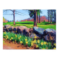 Stone Wall Daffs Print/Poster print
