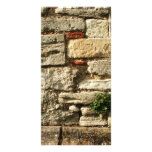 Stone Wall. With small plant. Custom Photo Card