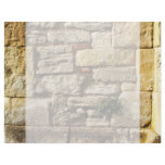 Stone Wall. With small plant. Customized Letterhead