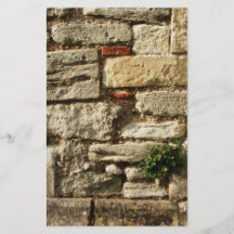 Stone Wall. With small plant. Personalized Flyer