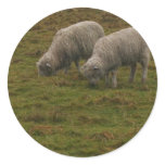 Stonehenge Sheep Sticker