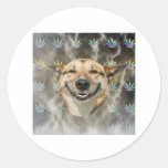 Stoner Dog Advice Animal meme Round Sticker
