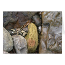 Stones Along the Creek cards