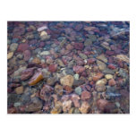 Stones in the lake at Glacier National Park Post Card
