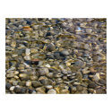 stones in the water posters