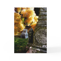 Stones near the Yellow Tree Greeting Card