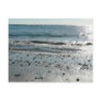 Stones On Beach Shore Postcard