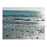 Stones On Beach Shore Postcard
