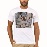 stones t-shirts