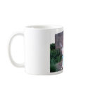 Stoney_Creek_21 mugs by richardwcrites Stoney_Creek_21 mugs