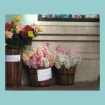 Stop and Smell the Flowers Canvas posters