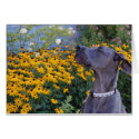 Stop and Smell the Flowers Card