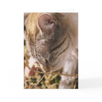 Stop and Smell the Flowers cards by angelandspot Stop and Smell the Flowers cards
